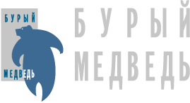 Бурый медведь – электронные компоненты
